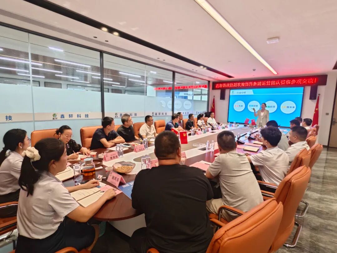 1766039128879526.jpg 7.jpg