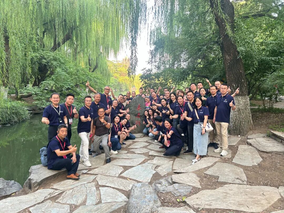 1766039435502412.jpg 9.jpg