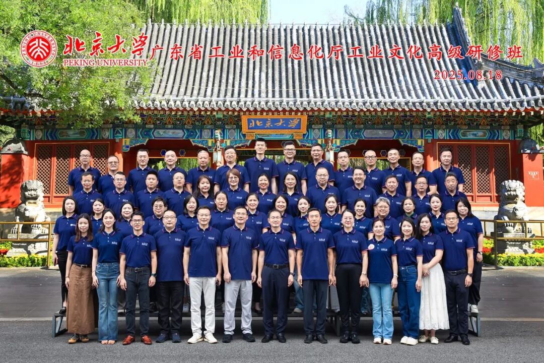 1766039444593447.jpg 10.jpg