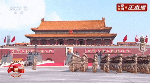 1766040383431723.gif 5.gif