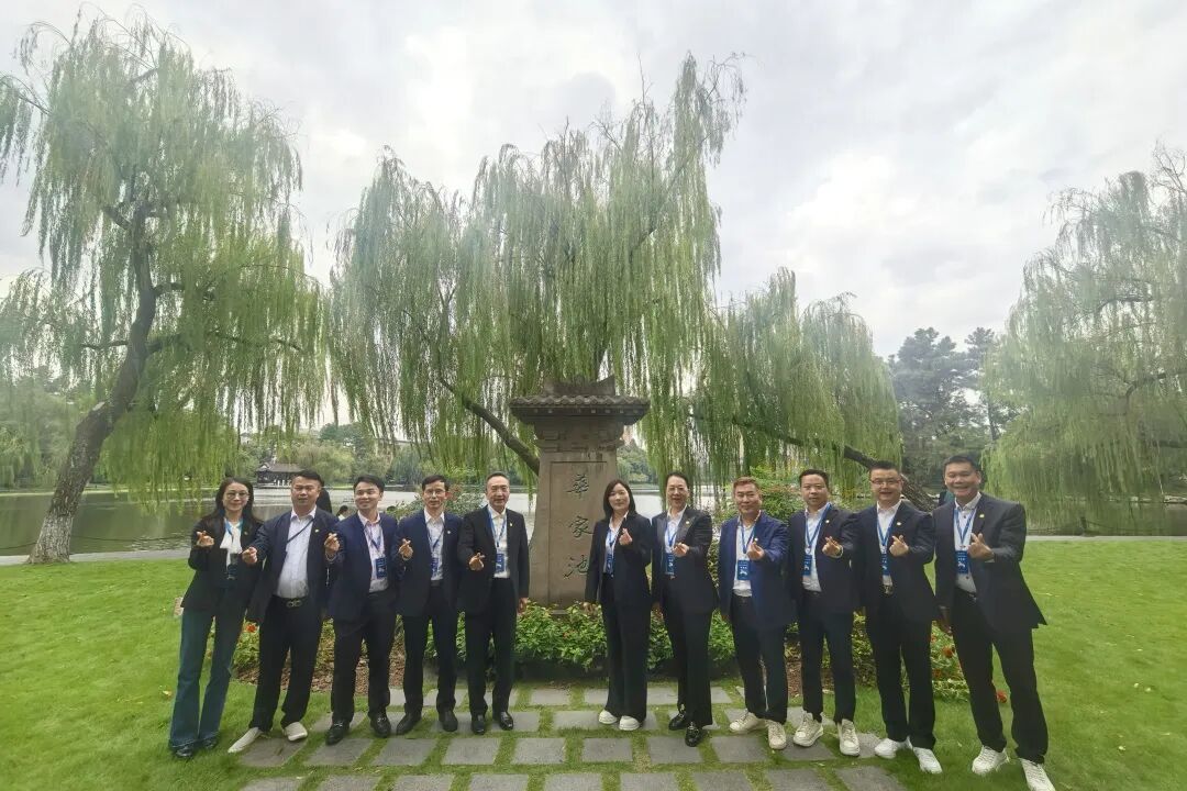 1766045867845566.jpg 7.jpg